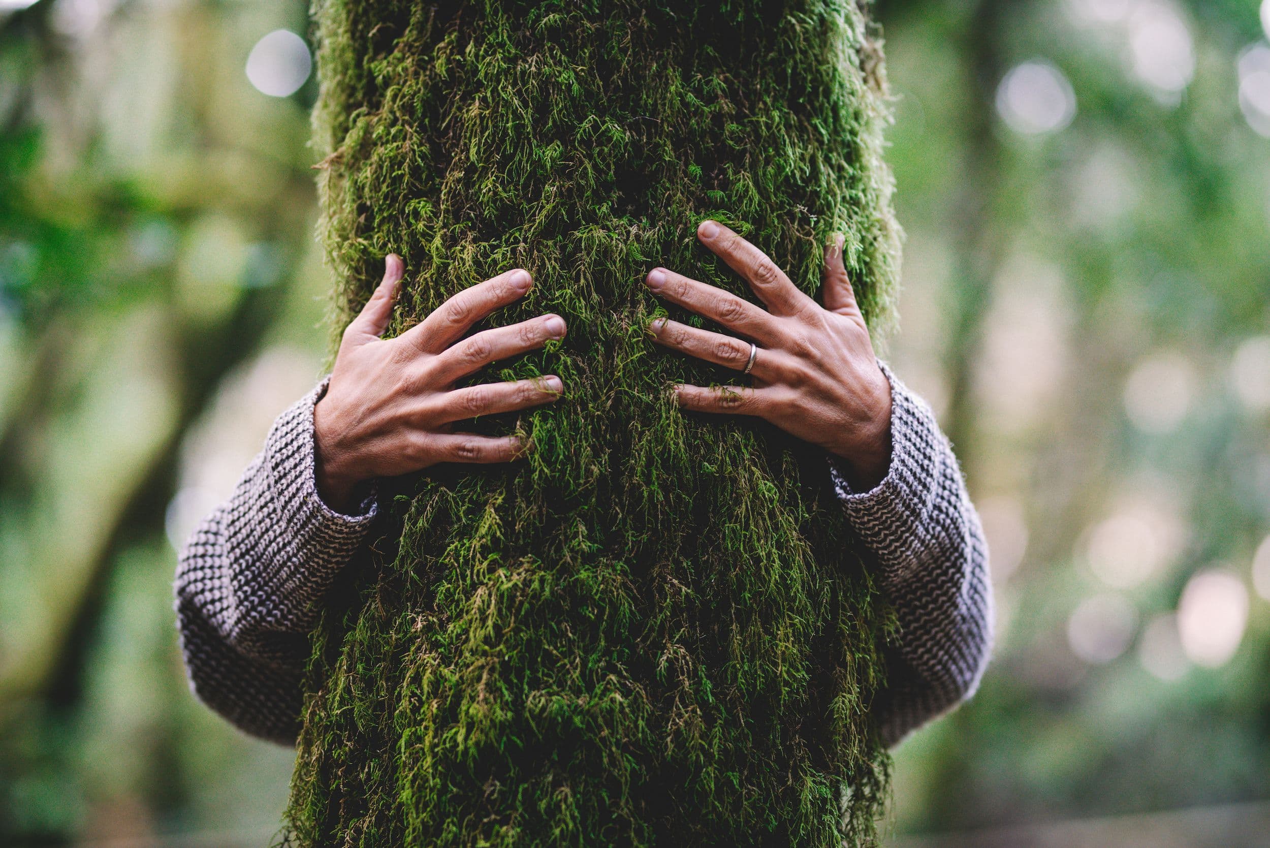 Tree-hugging-respect-nature.jpeg