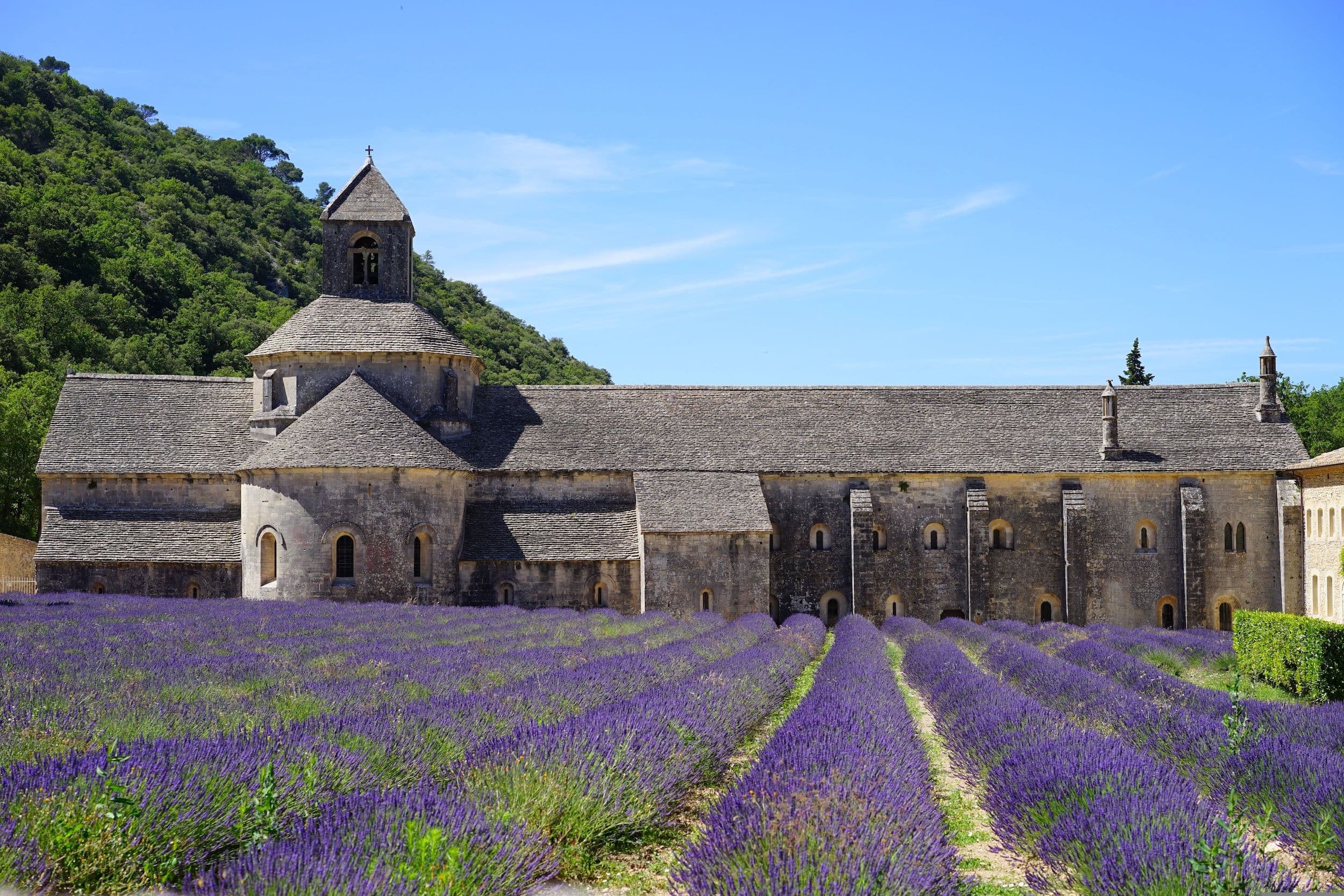 abbaye-de-senanque-1595649.jpg