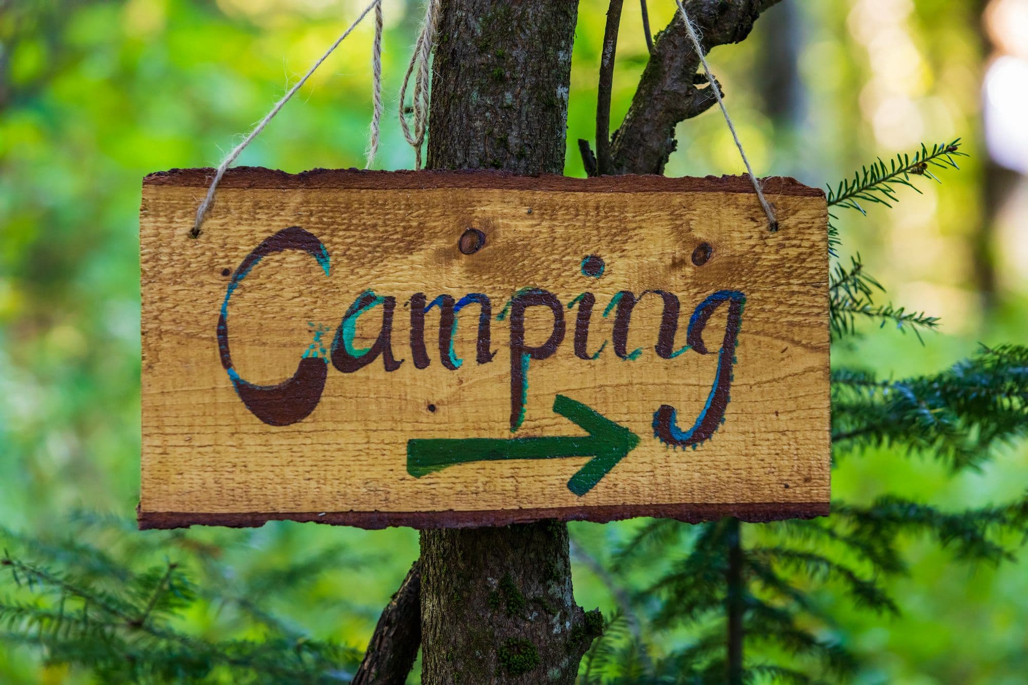 Woodplate-Camping.jpeg